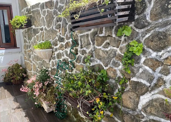 Casa Da Foz